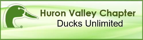 Ducks