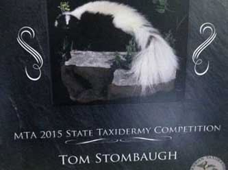 Anything That Moves Taxidermy Images