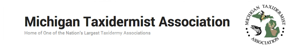 Mi Taxidermist